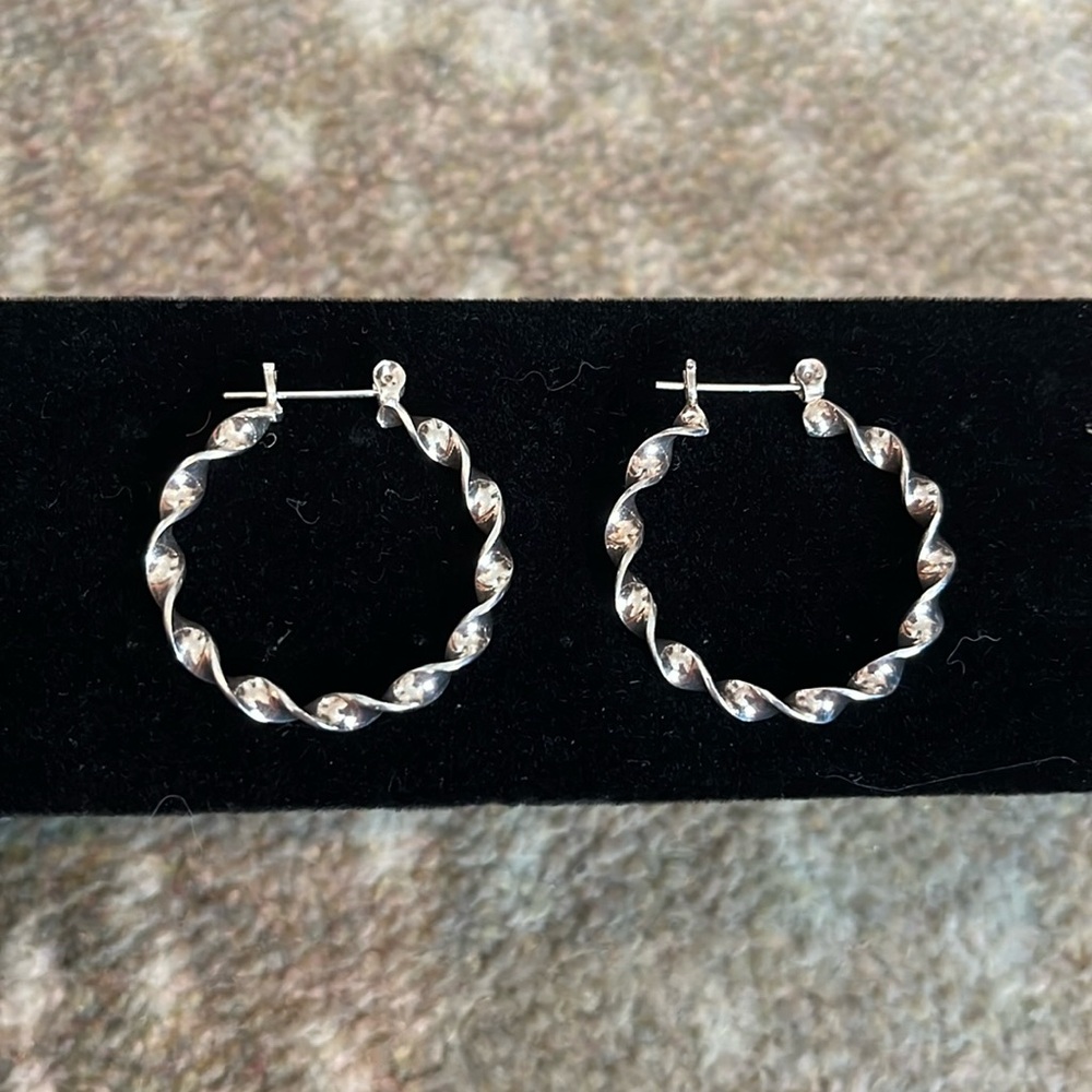Twisted Circle Hoop Earrings